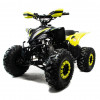 ATV квадроцикл motoland 125 RAPTOR A