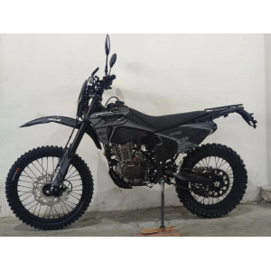 Мотоцикл Regulmoto ZZ PR 300 6 передач с ПТС (Черный/ серый)