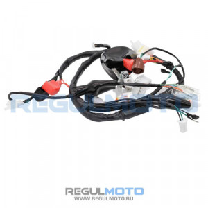 Жгут электропроводки Regulmoto CR-Z 300