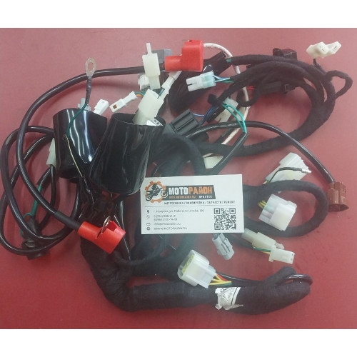 Жгут электропроводки Regulmoto GTO