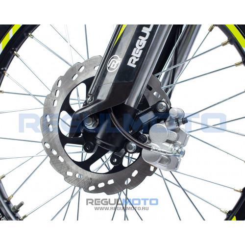 Мотоцикл Regulmoto Sport-003 PR 300 6 передач с ПТС Зеленый/Черный 2025г.
