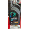 Присадка для лодочных моторов 4T MOTOLAND Outboard 10W-40 FC-W 1л