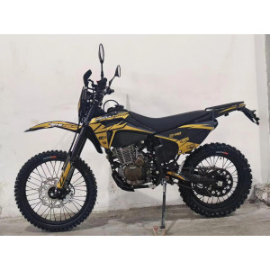 Мотоцикл Regulmoto ZZ PR 300 6 передач с ПТС (Черный/ оранжевый)